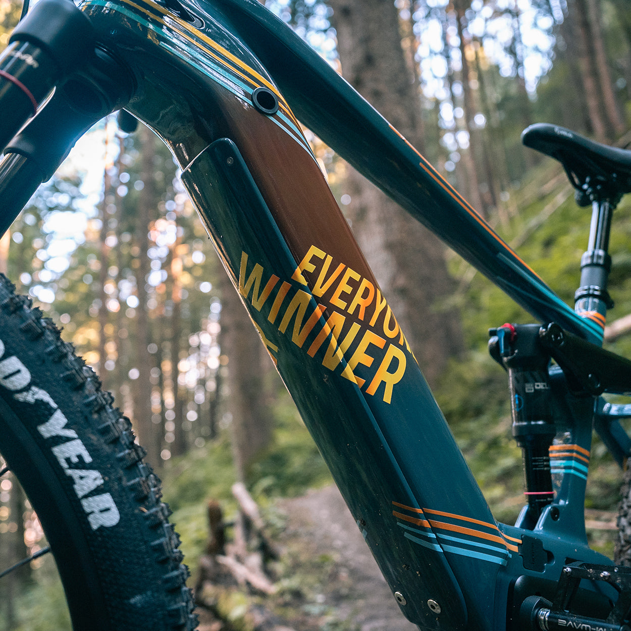 Carbon Fully E-BIKE World FEDERATION “powered by messingschlager”