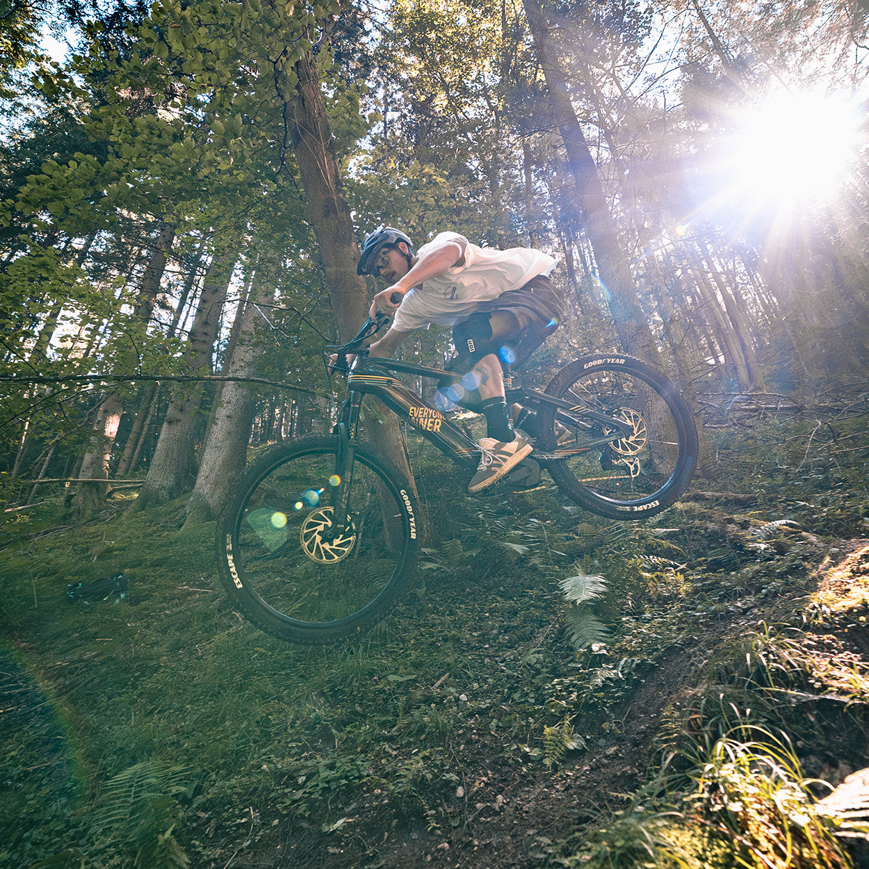 Carbon Fully E-BIKE World FEDERATION “powered by messingschlager”