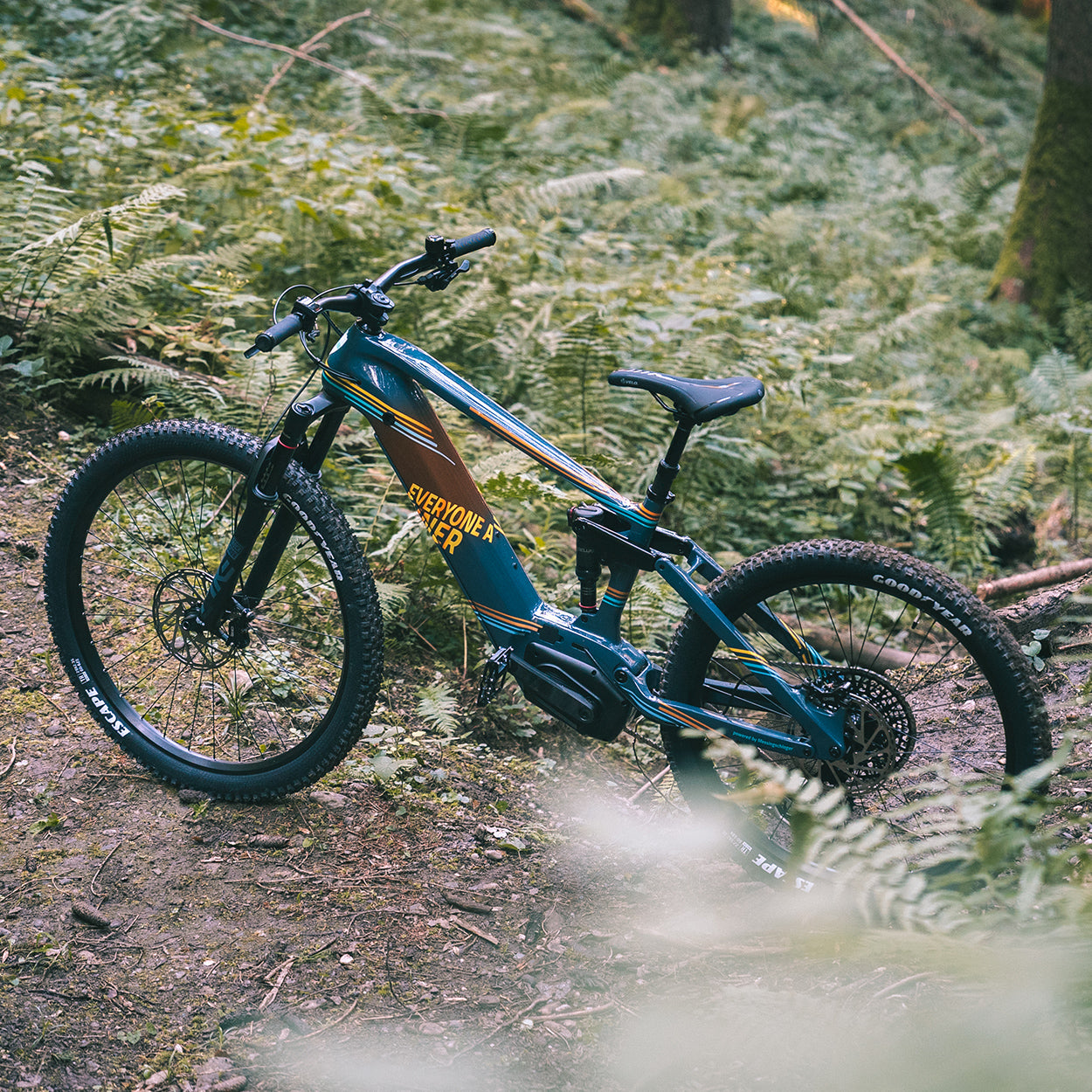 Carbon Fully E-BIKE World FEDERATION “powered by messingschlager”