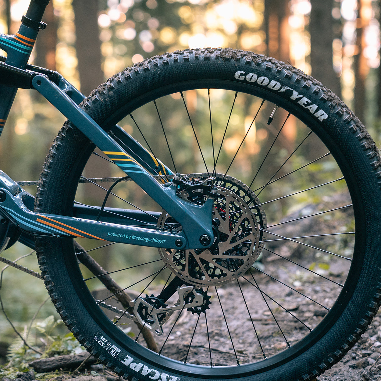 Carbon Fully E-BIKE World FEDERATION “powered by messingschlager”